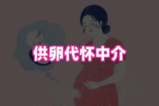 试管助孕网站 1