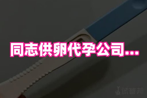 试管助孕网站 2