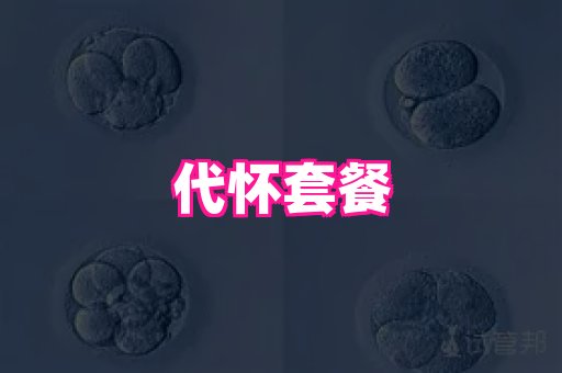 试管助孕网站 3