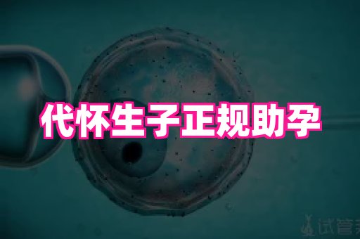 试管助孕网站 4